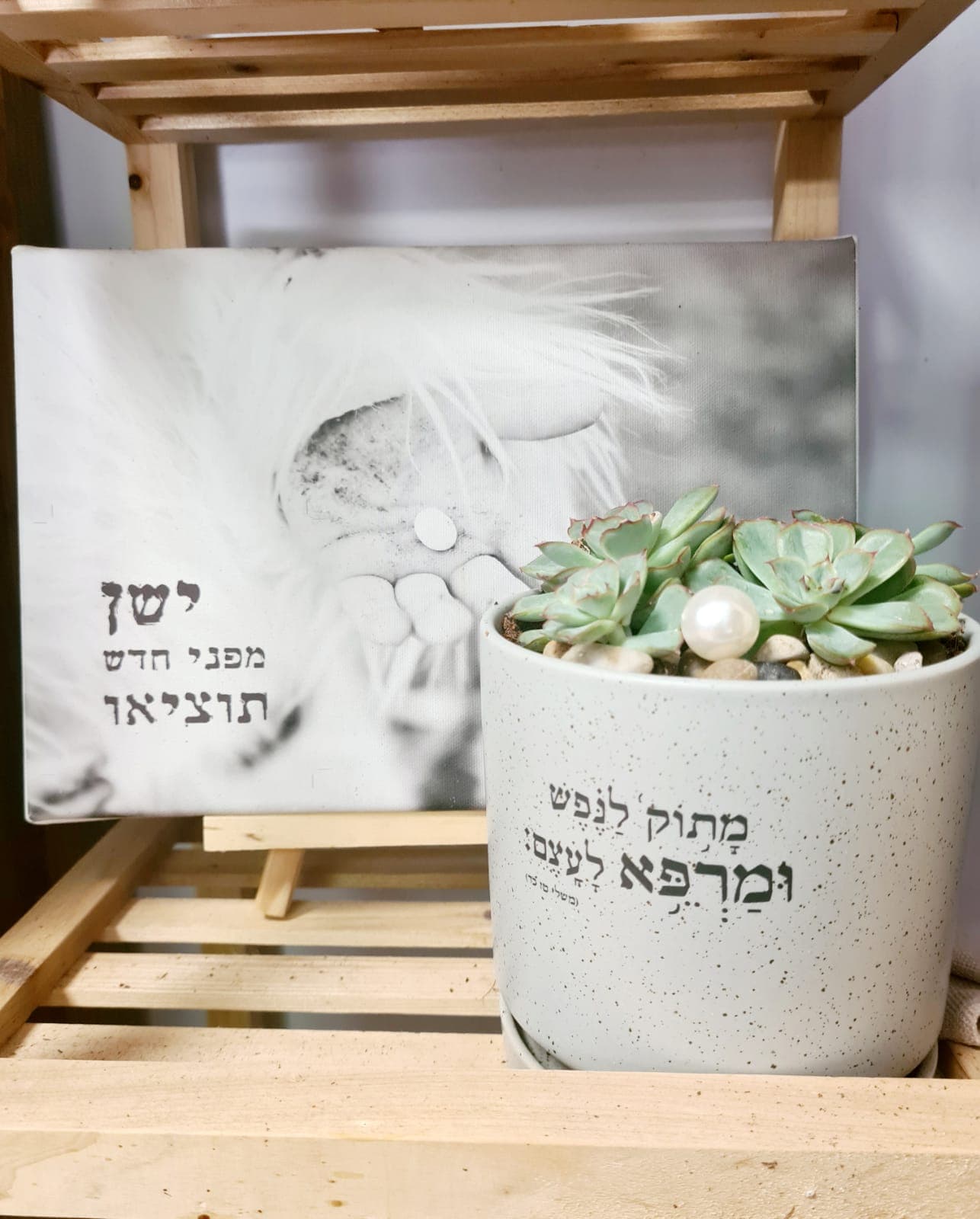 מארז מתוק לנפש + ישן תוציאו