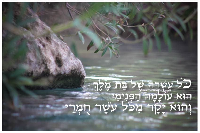 כל עושרה של בת מלך 1