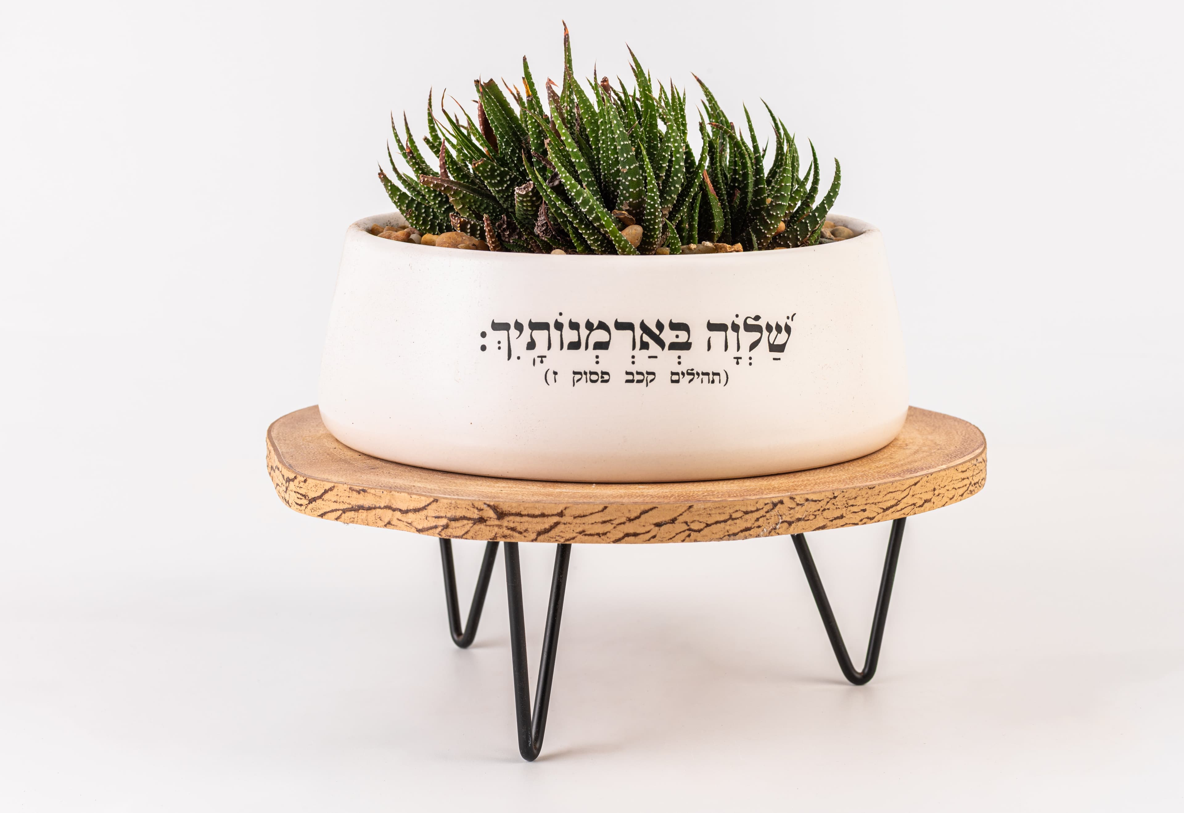 שלווה בארמונותייך - אדניות 1