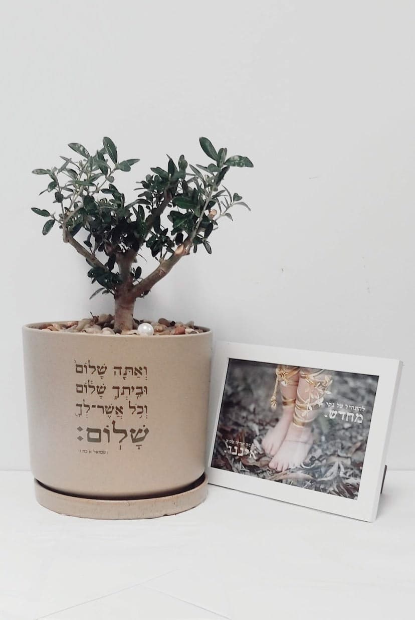 מארז ואתה שלום + להתחיל מחדש