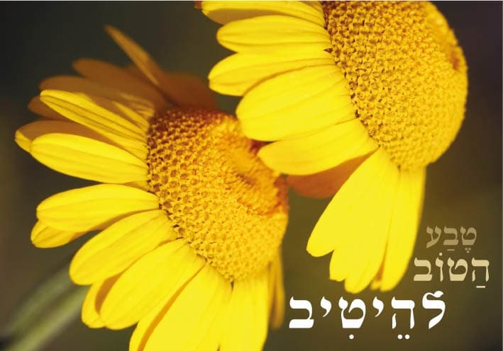 טבע הטוב להיטיב