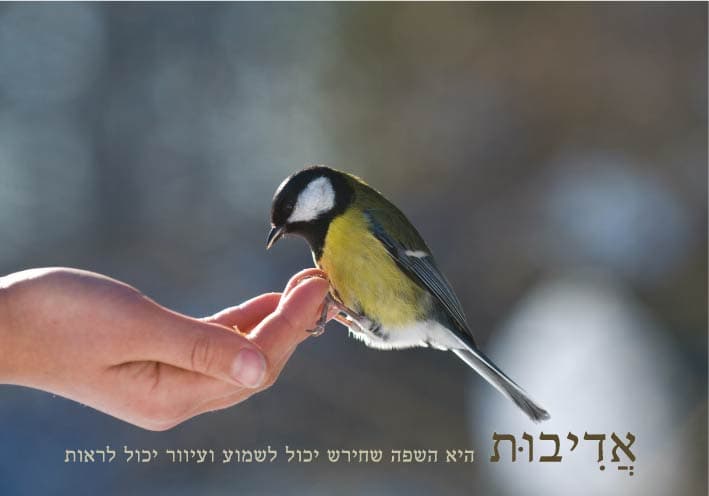 אדיבות היא השפה