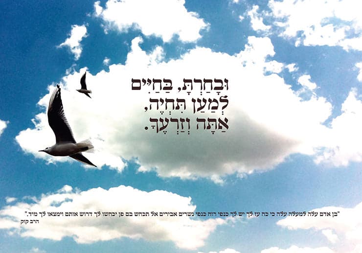 ובחרת בחיים