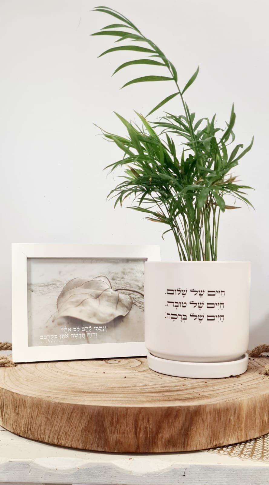מארז חיים של + ונתתי להם