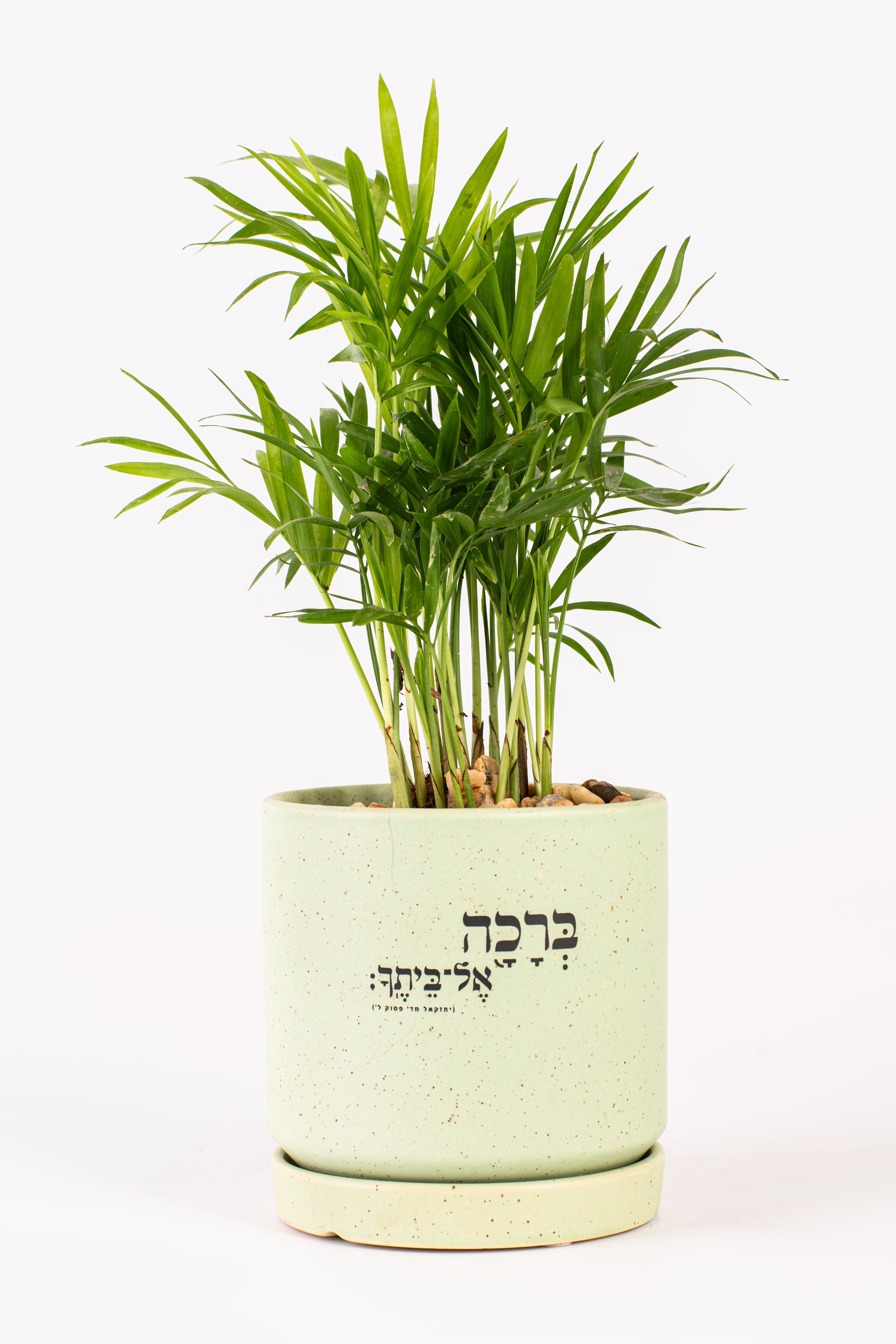 ברכה אל ביתך 1