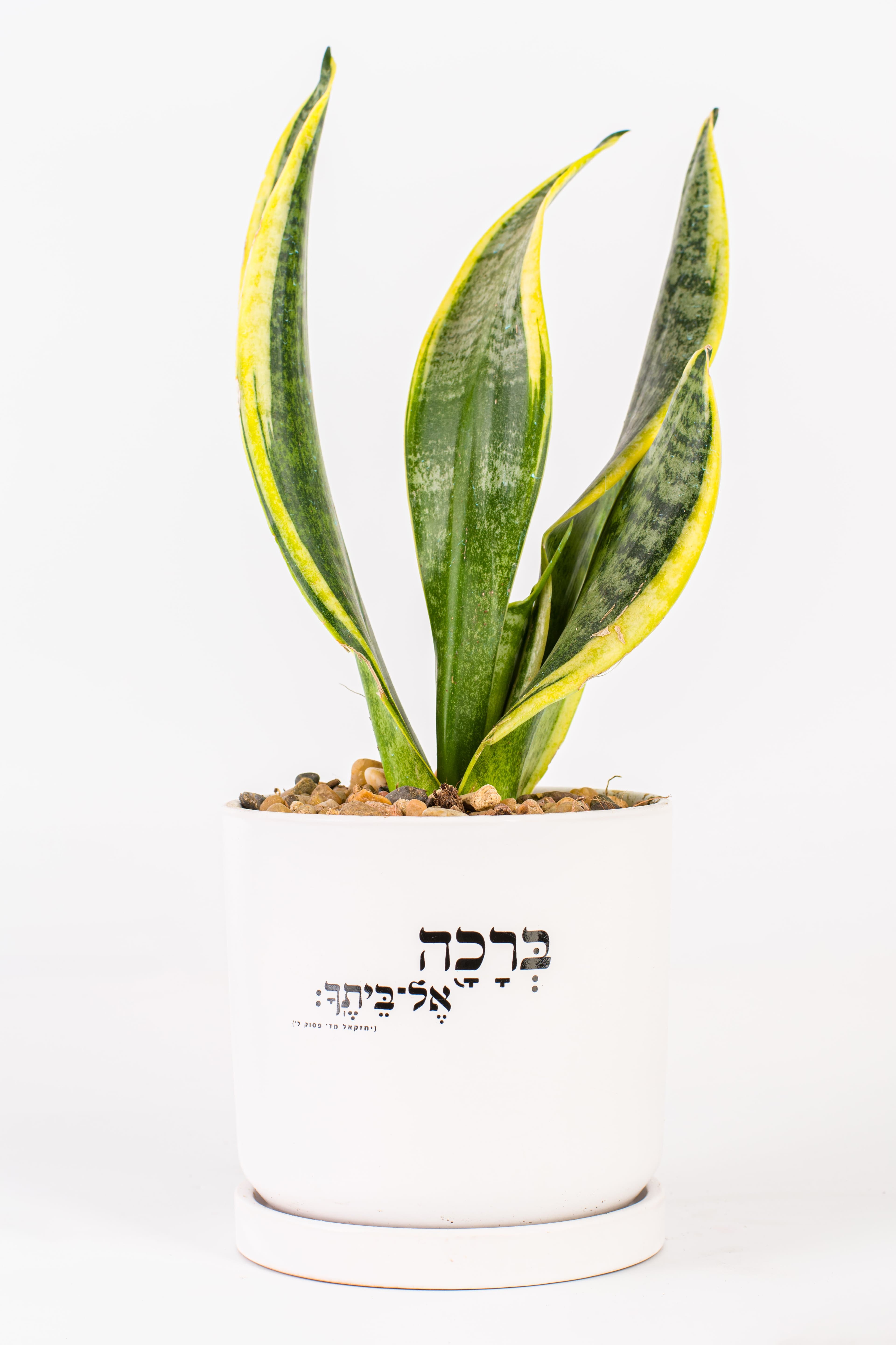 ברכה אל ביתך