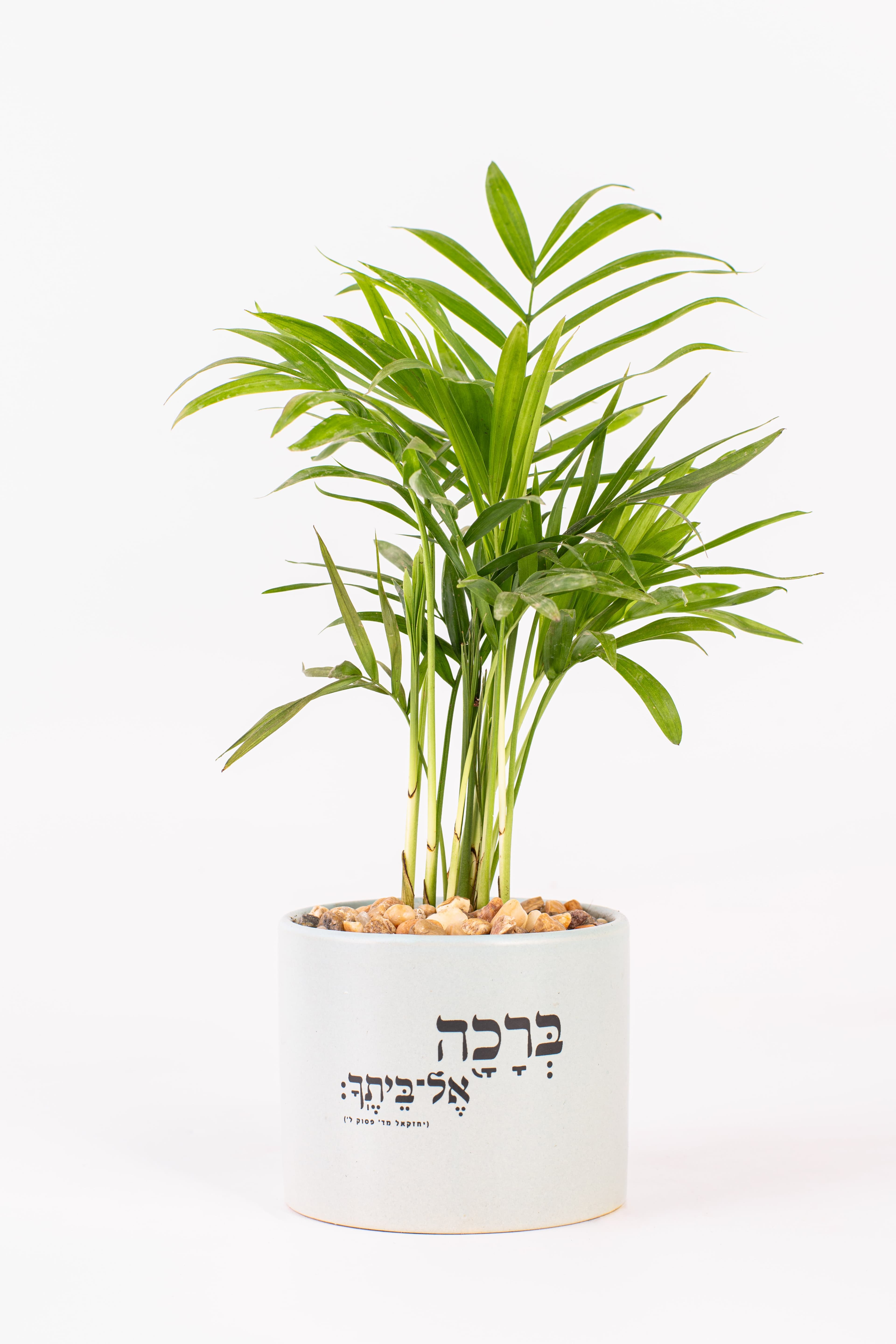 ברכה אל ביתך 1