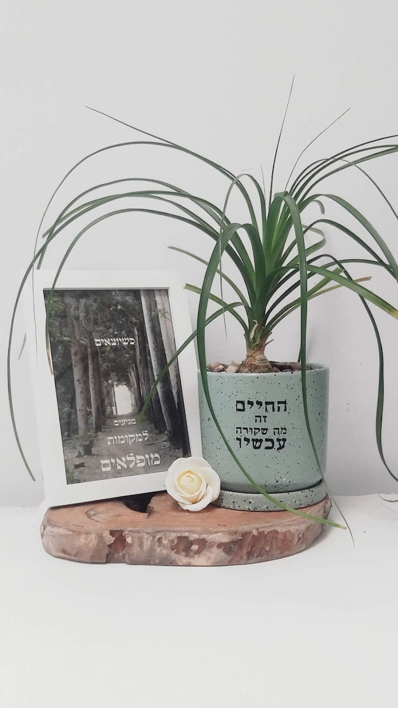 מארז החיים זה עכשיו + כשיוצאים מגיעים