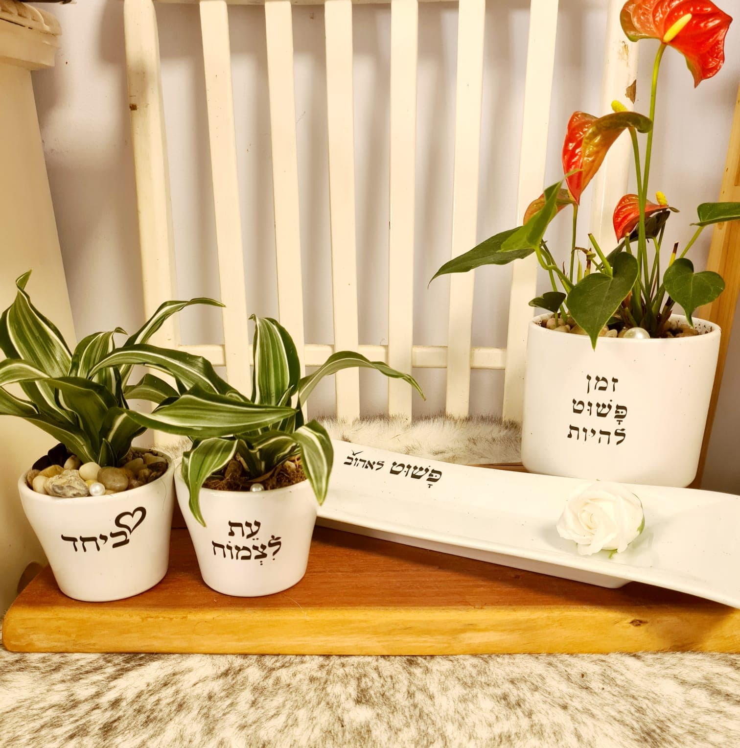 מארז ביחד + עת לצמוח + זמן להיות + פשוט לאהוב