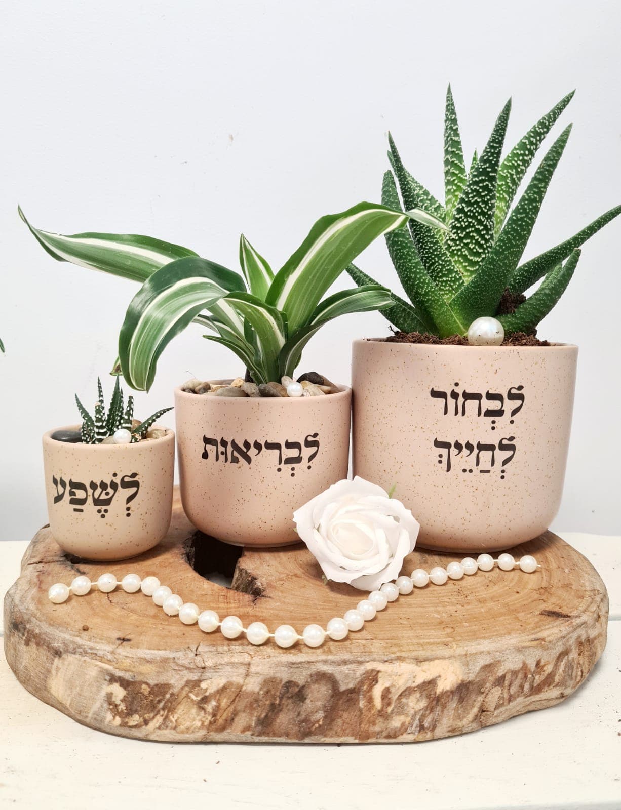 לבחור לחייך- לבריאות- לשפע